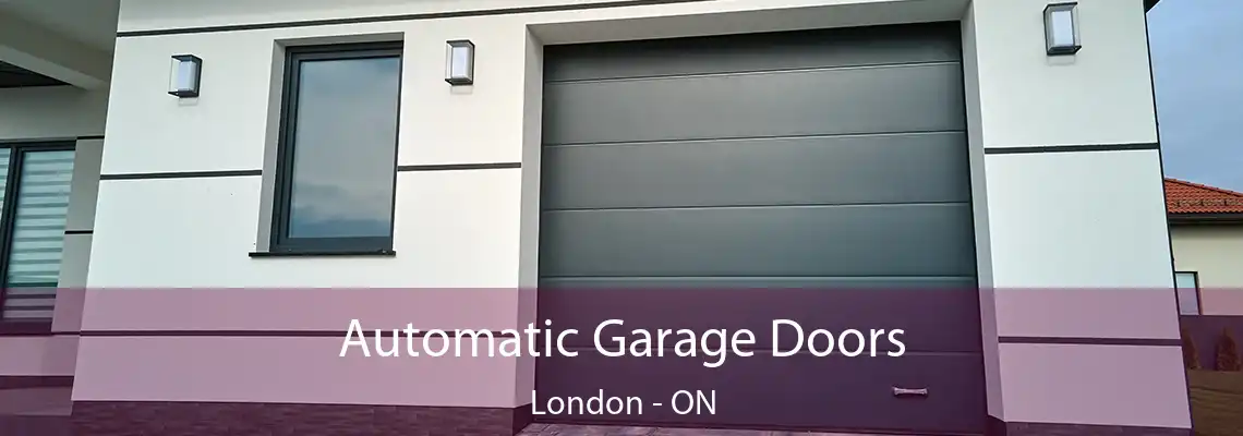 Automatic Garage Doors London - ON