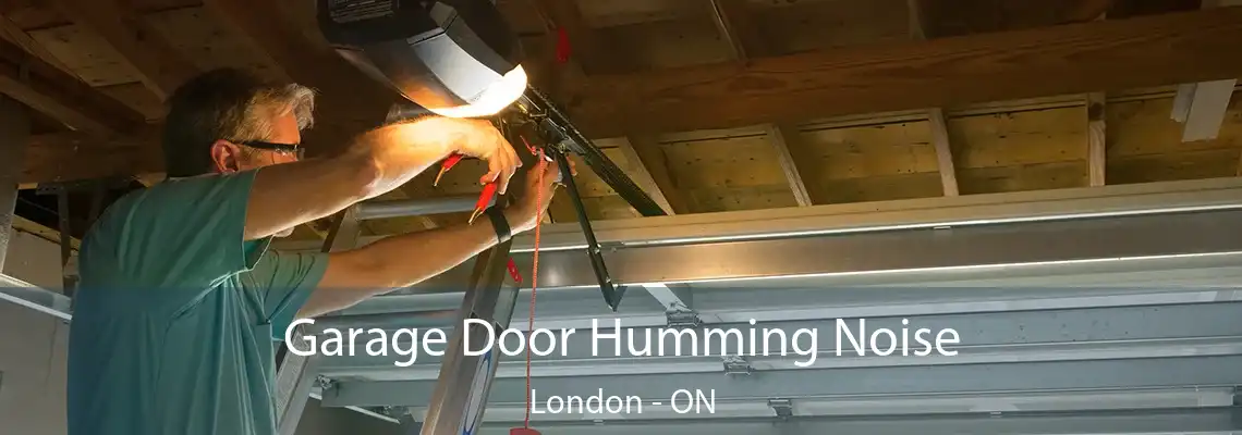 Garage Door Humming Noise London - ON