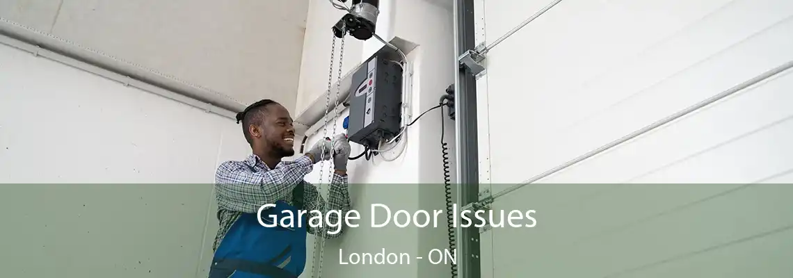 Garage Door Issues London - ON
