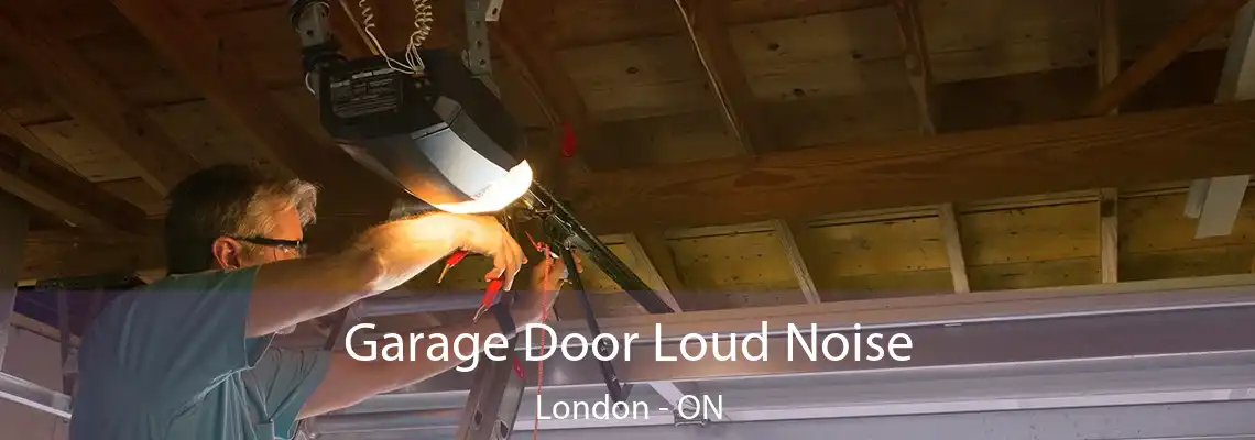 Garage Door Loud Noise London - ON