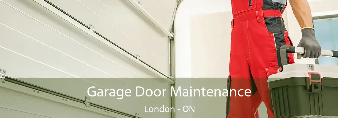 Garage Door Maintenance London - ON