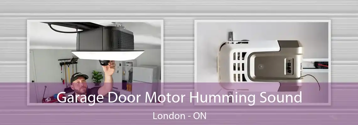 Garage Door Motor Humming Sound London - ON