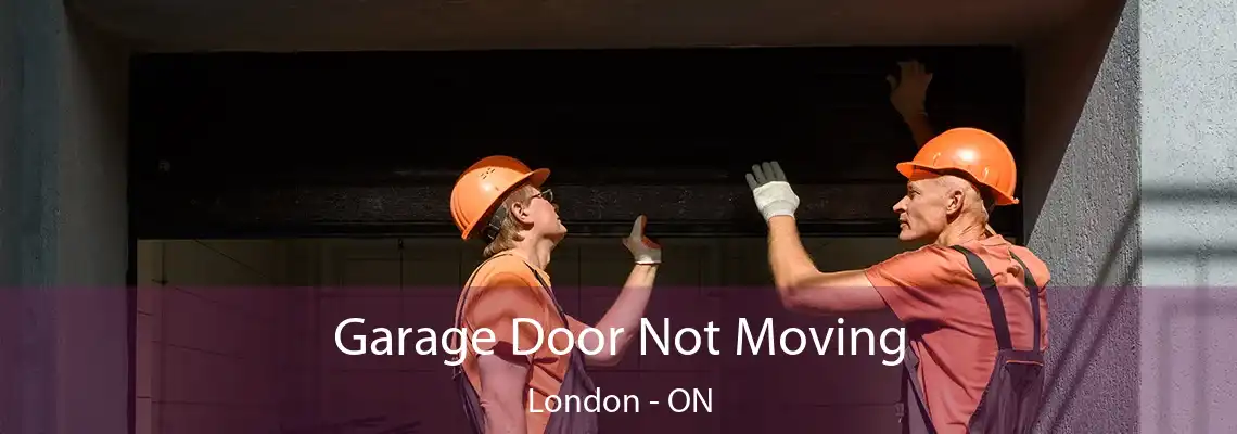 Garage Door Not Moving London - ON