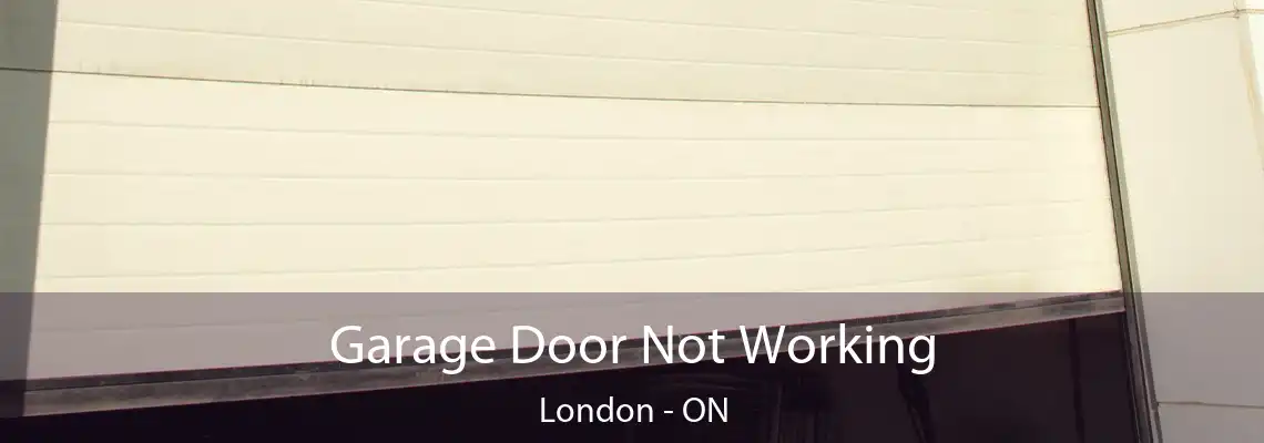 Garage Door Not Working London - ON