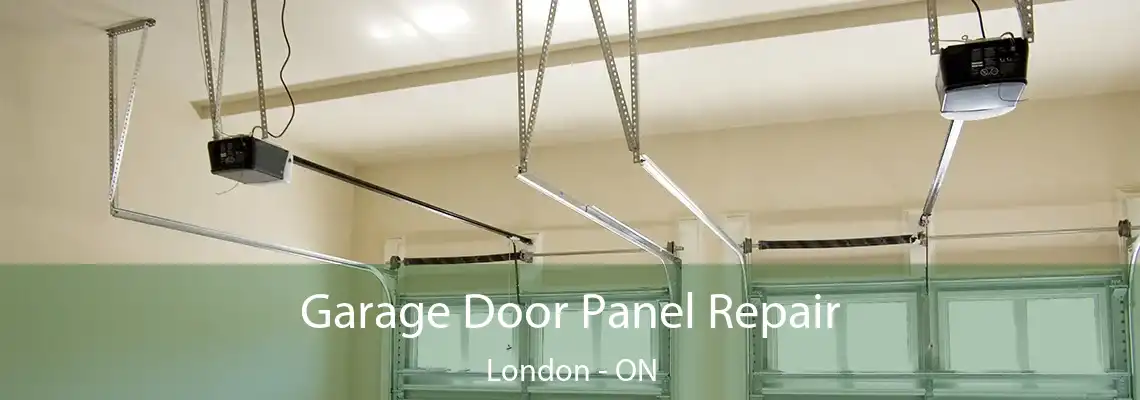 Garage Door Panel Repair London - ON