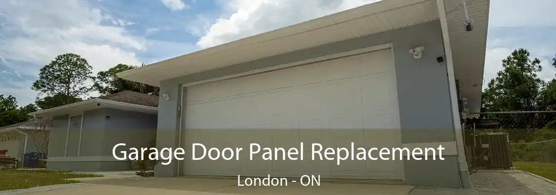 Garage Door Panel Replacement London - ON