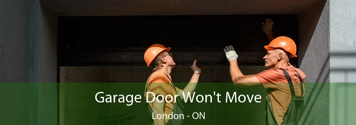 Garage Door Won't Move London - ON
