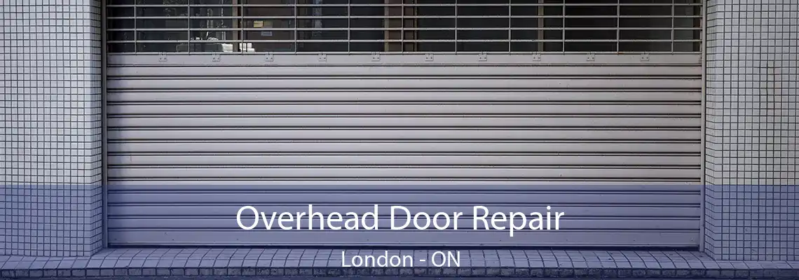 Overhead Door Repair London - ON