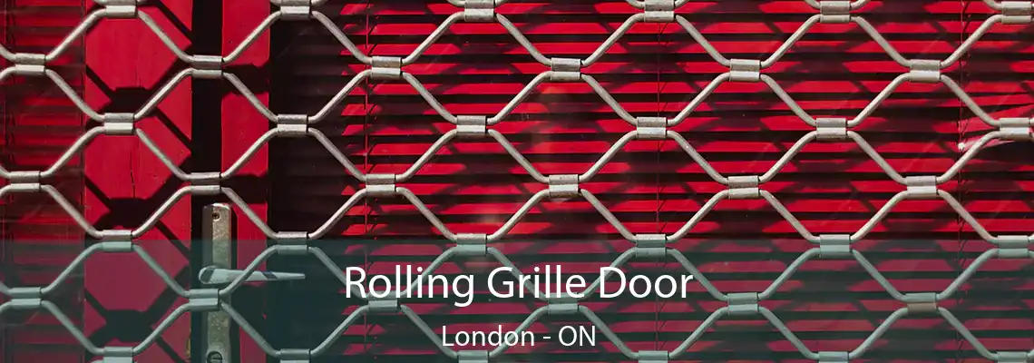 Rolling Grille Door London - ON